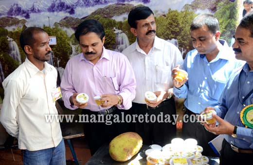 Jackfruit Mela in Mangalore